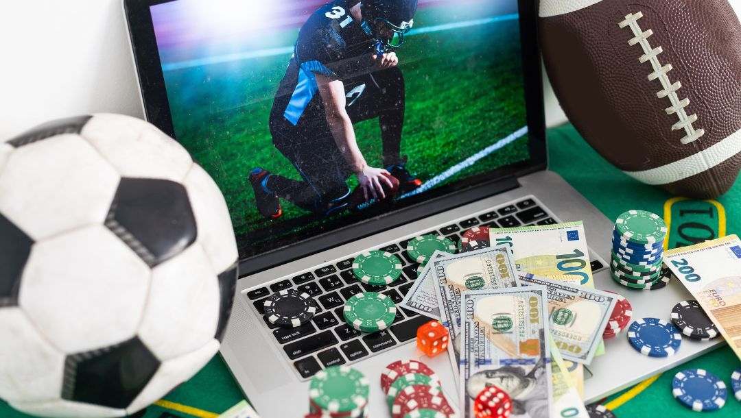 Betting Portals for Beginners 11