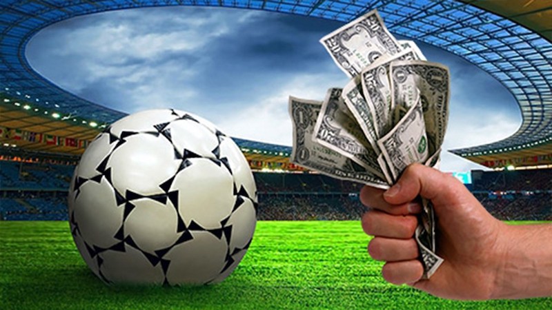 Découvrez l'univers de betwinner pour vos paris en ligne