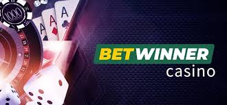 Exploring the BetWinner Online Gambling Platform 17