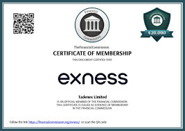 Unlocking Success The Exness Partnership Program